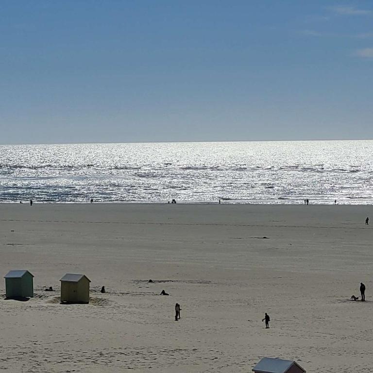 Charmant Studio Rénové à Deux Pas de la Plage et des Commerces - FR-1-674-44 - Studio - 6