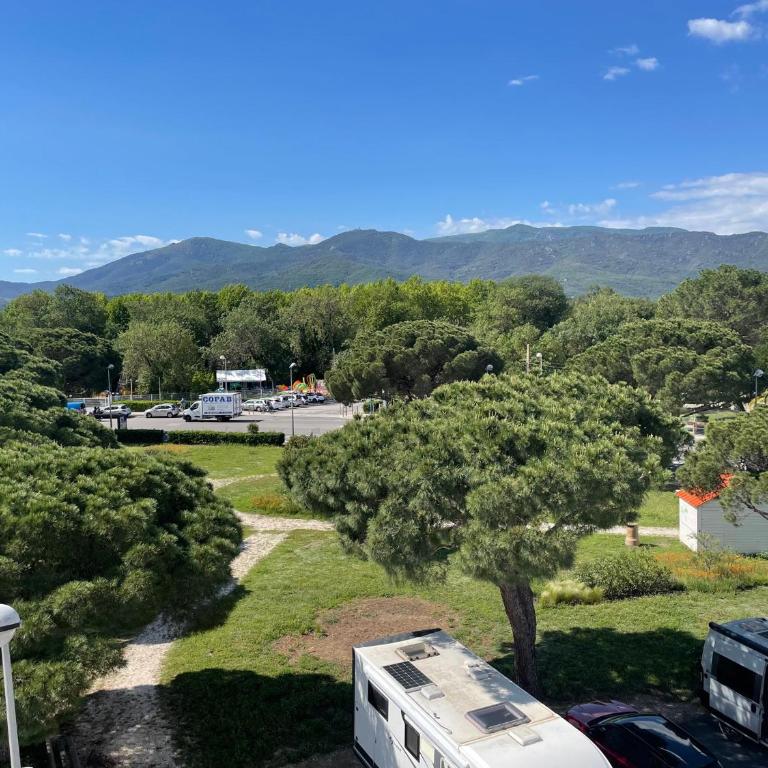 Argelès Plage T3 Neuf - Climatisé, Balcon, Parking - FR-1-309-453 - Apartment - 13