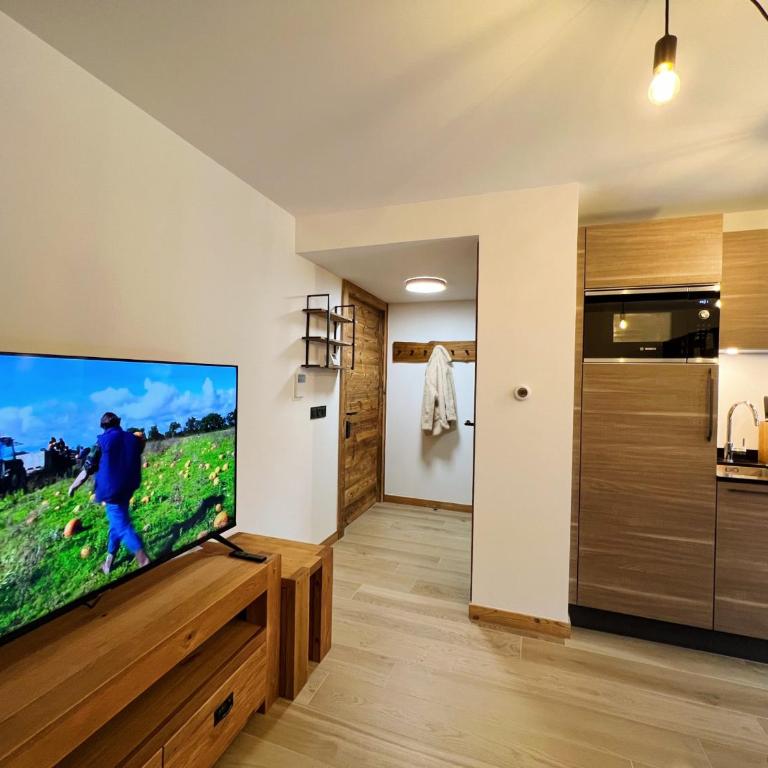 Charmant appartement aux Gets, 2 chambres, Wi-Fi, parking inclus - FR-1-671-265 - Appartement - 6
