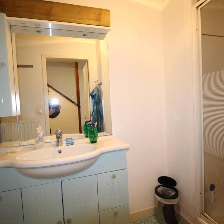 Duplex 140 m² pour 8 pers. à Luchon proche télécabine et thermes, tout confort, wifi, animaux OK - FR-1-313-231 - Apartment - 9