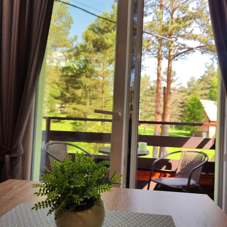 Vila Priroda Divčibare - Studio - 7
