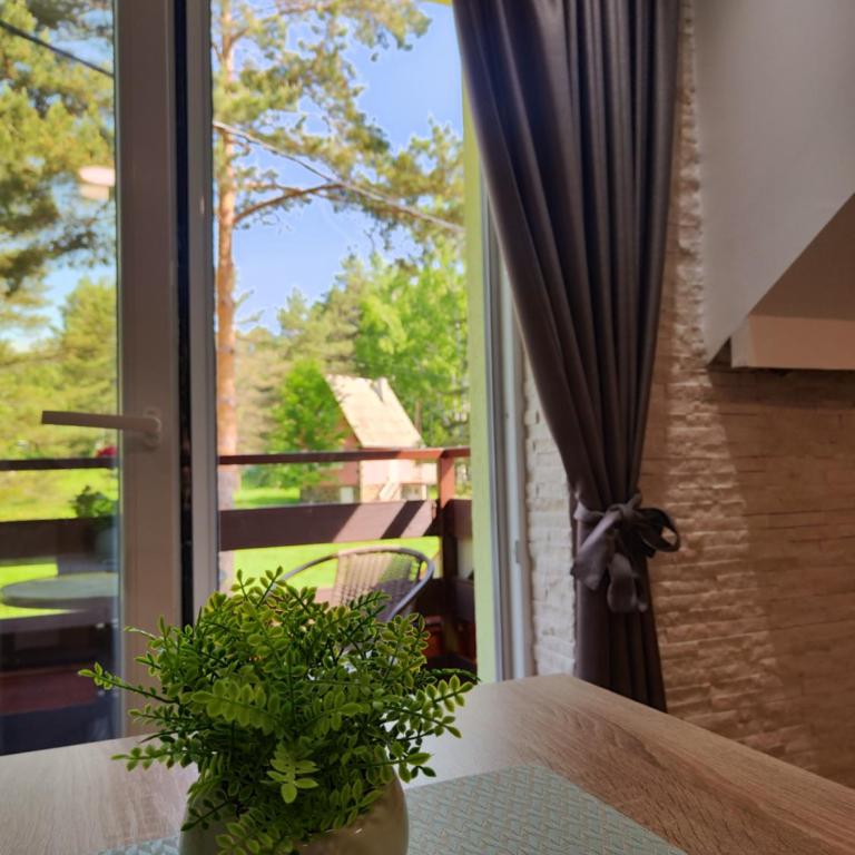 Vila Priroda Divčibare - Studio - 10