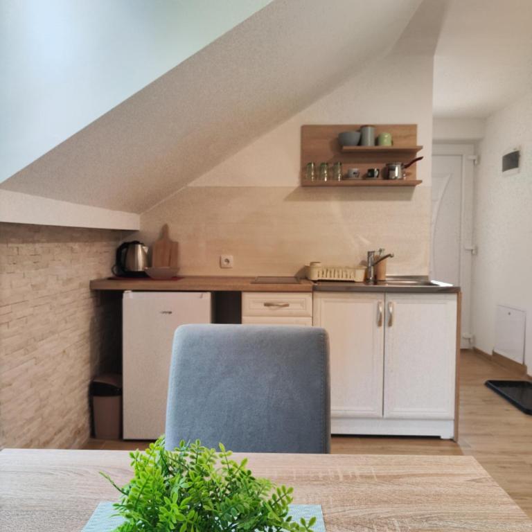 Vila Priroda Divčibare - Studio - 11