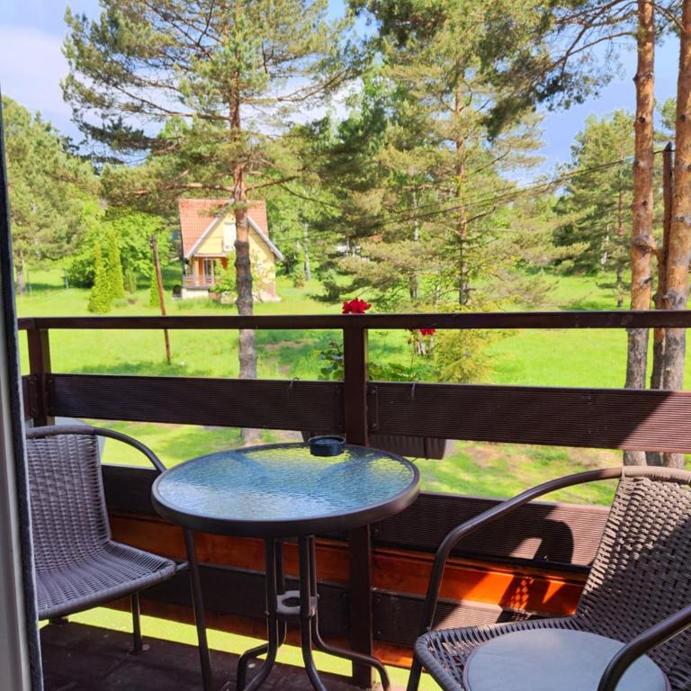 Vila Priroda Divčibare - Studio - 13