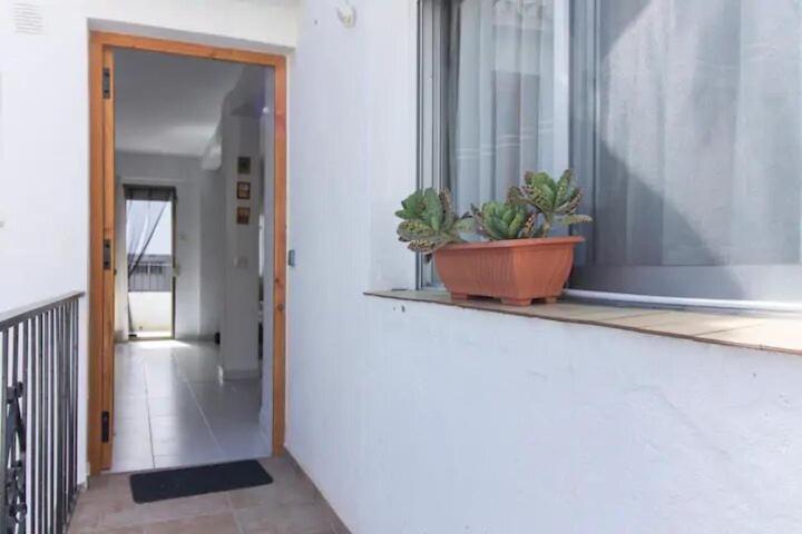 casa con terraza - Casa con 1 dormitorio - 13