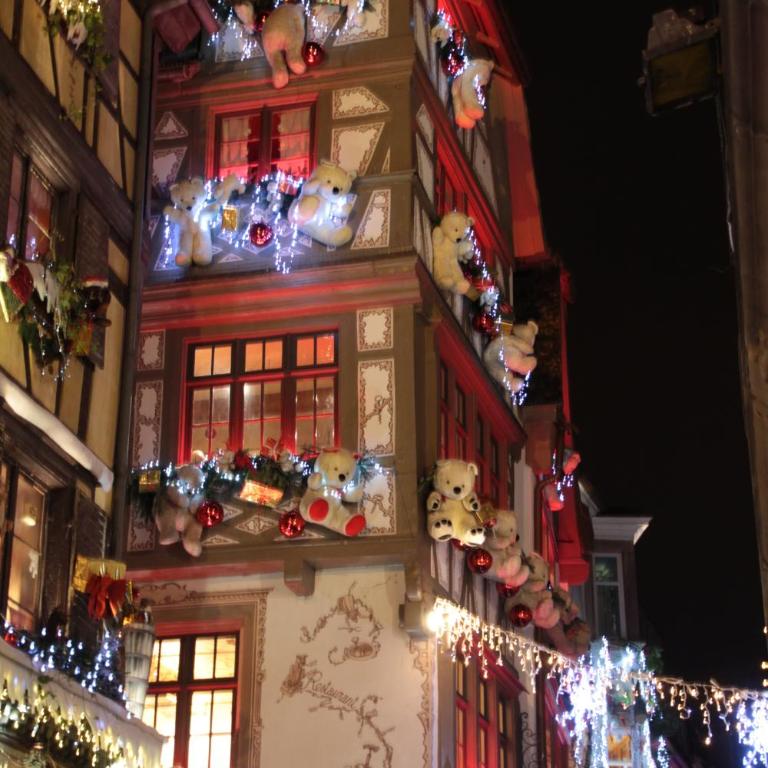 T3 VÉRANDA BUREAU à STRASBOURG - Appartamento con 2 Camere da Letto - 15