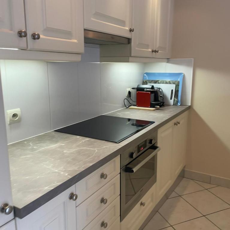 Appartement JEAN BART , avec parking privé, meublé tourisme classé 3 étoiles - Appartement 1 Chambre avec Terrasse - 21