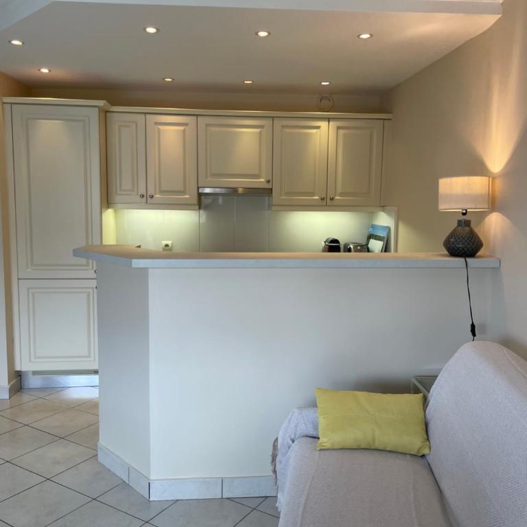 Appartement JEAN BART , avec parking privé, meublé tourisme classé 3 étoiles - Appartement 1 Chambre avec Terrasse - 20