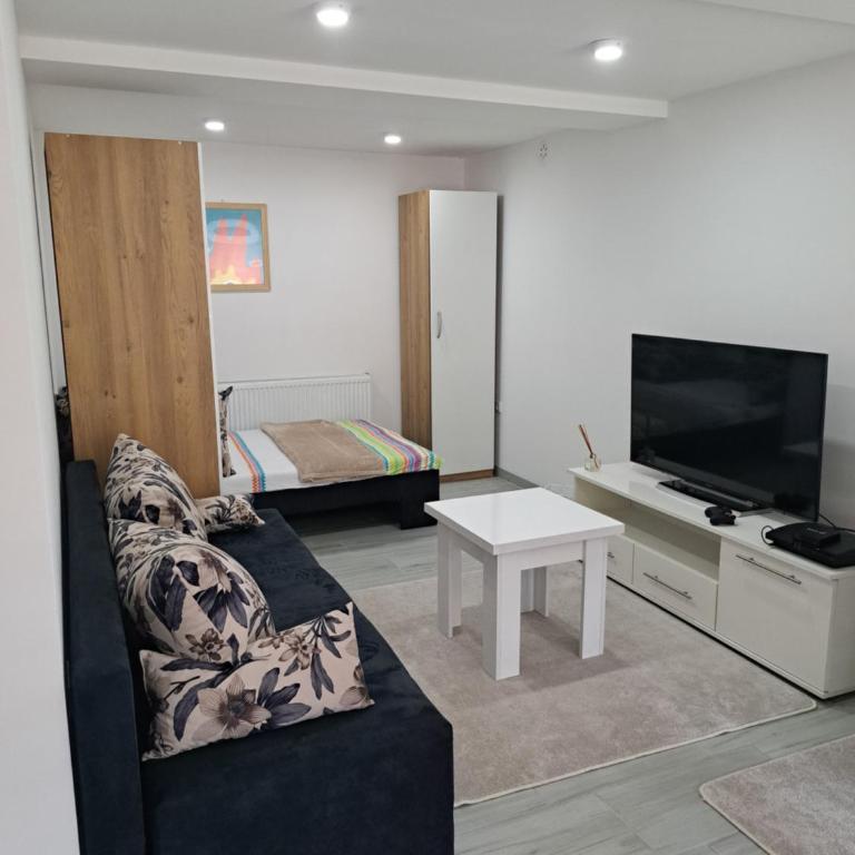 Apartman Avlija - Apartman sa 1 Spavaćom Sobom - 4