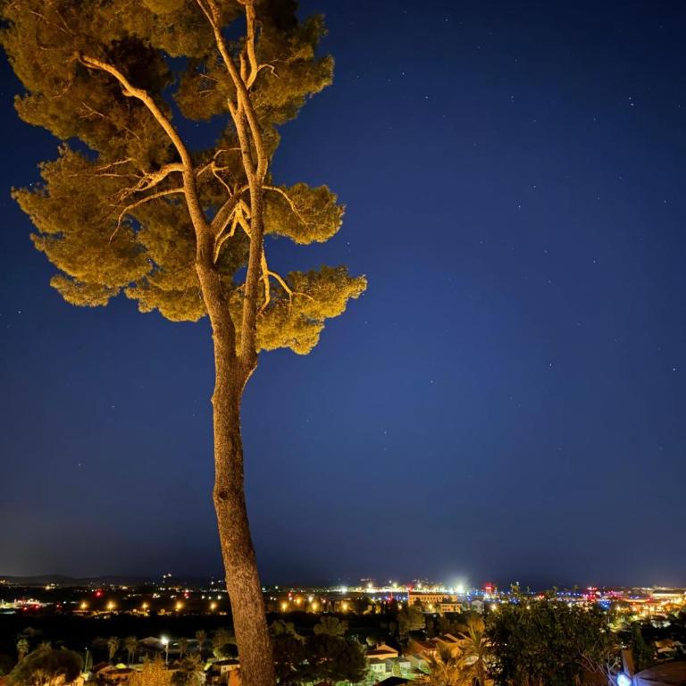 Nid douillet vue mer Hyères - Appartement 1 Chambre - 4