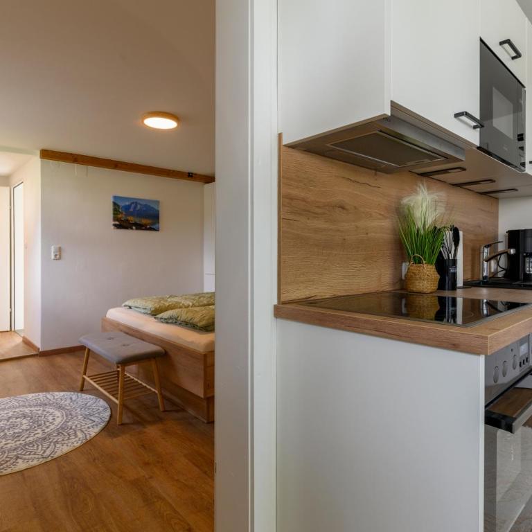 Ferienwohnung Werner Pucher EG - One-Bedroom Apartment - 8
