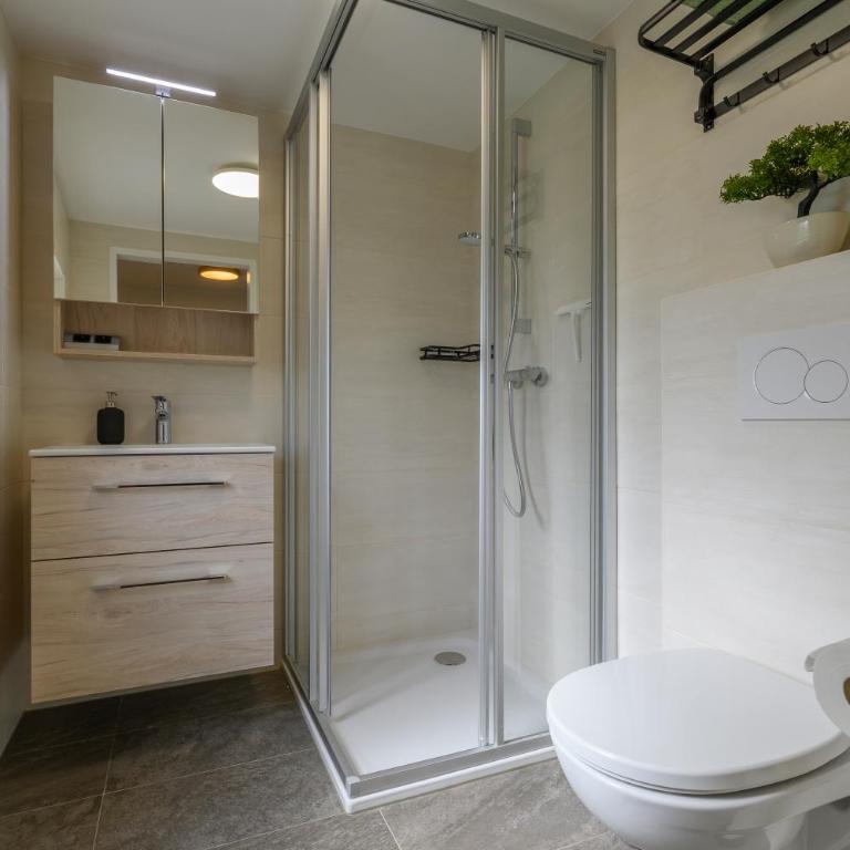 Ferienwohnung Werner Pucher EG - One-Bedroom Apartment - 14