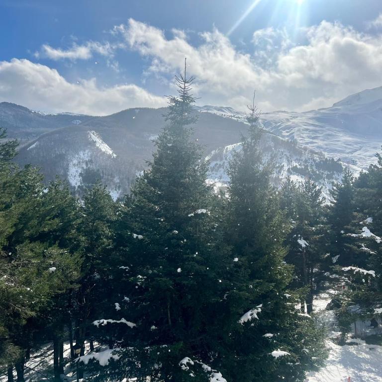 Apartamento en Formigal con vistas - Appartamento con 2 Camere da Letto - 17
