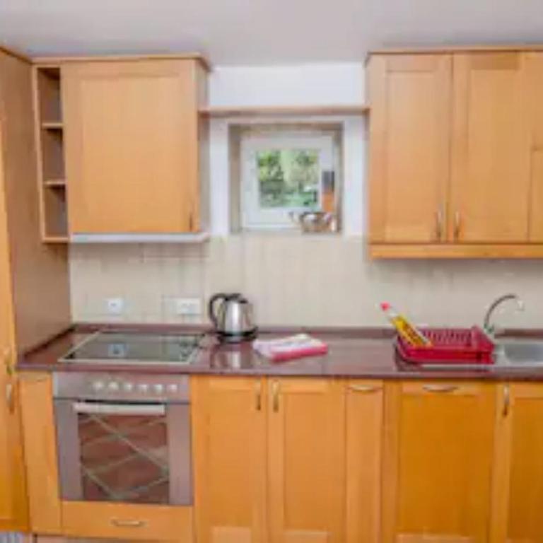 Palmagora Villas - Apartman sa 2 Spavaće Sobe i Pogledom na Vrt - 18