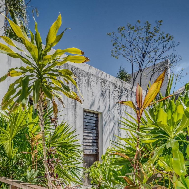 Exclusive 1BR in Tulum Jungle Private Pool SPA - Apartamento de 1 dormitorio - 18