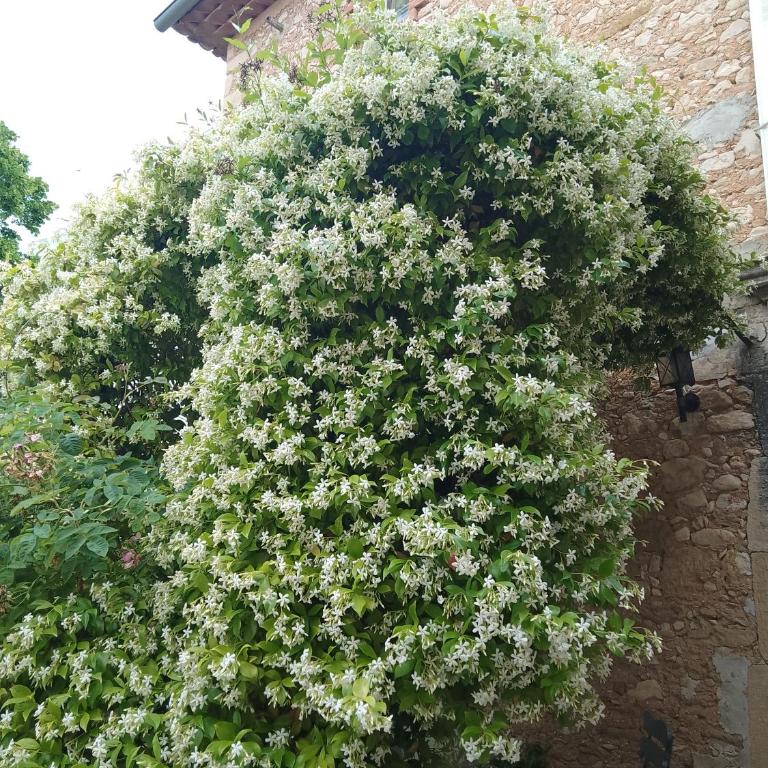 Les Gites du Mont Ventoux - Casa con 2 Camere da Letto - 24