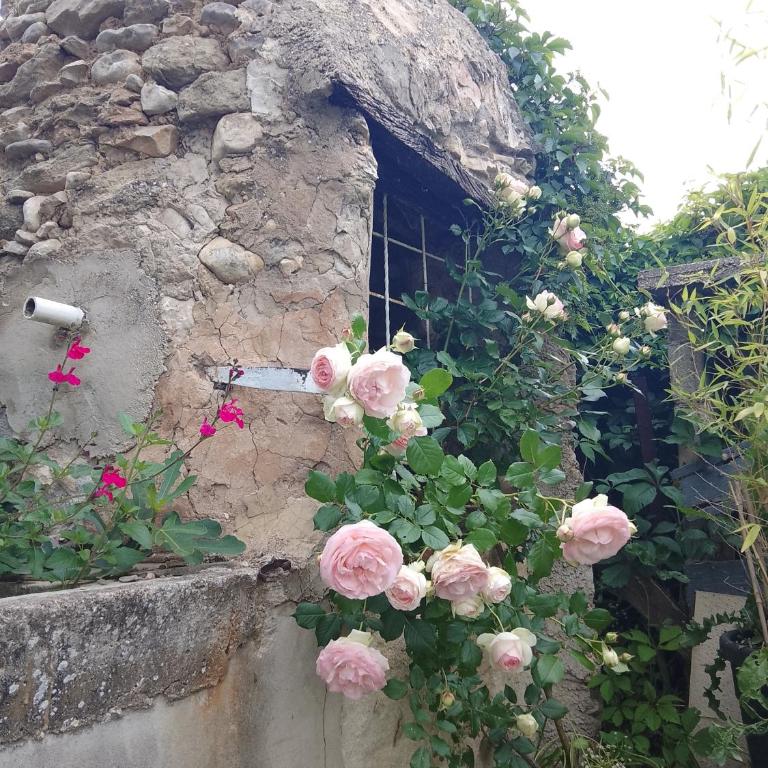 Les Gites du Mont Ventoux - Casa con 2 Camere da Letto - 39