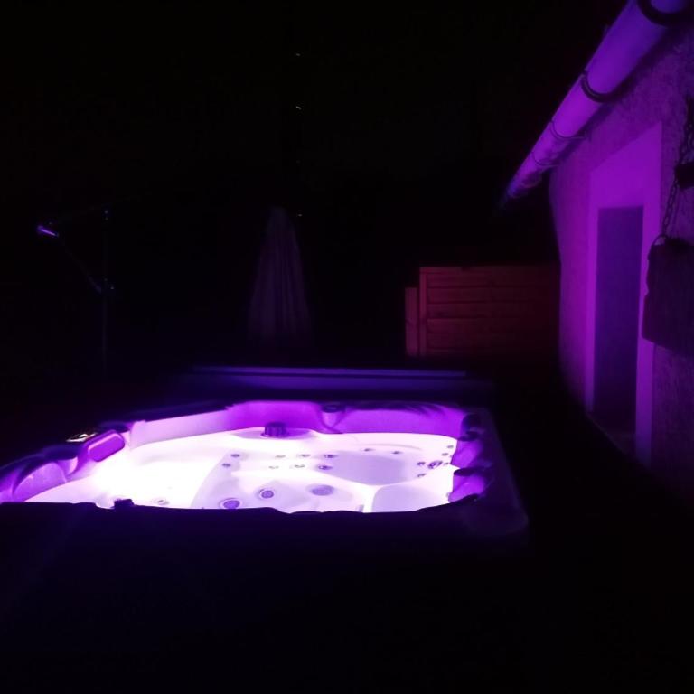 Gîte de charme SPA privatif, Piscine L'oustau di Tonin - Maison 1 Chambre - 13