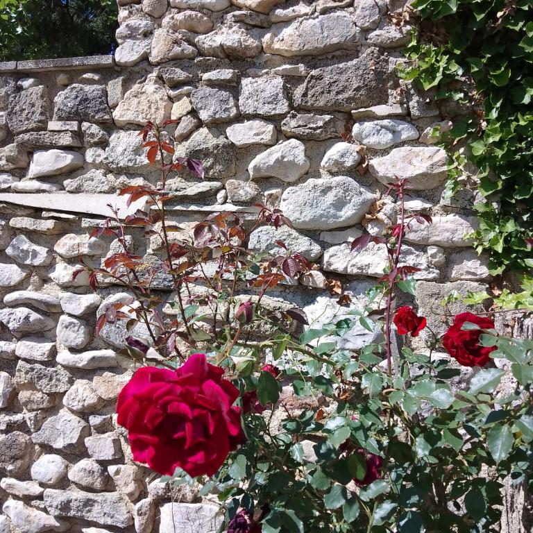 Les Gites du Mont Ventoux - Casa con 2 Camere da Letto - 43