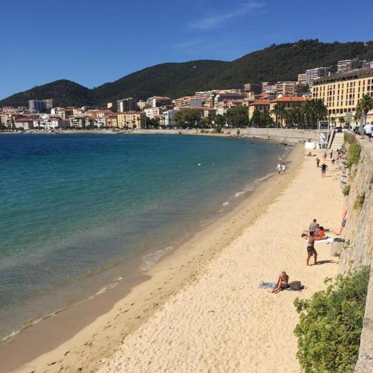 VIEILLE VILLE D AJACCIO de 1 a 4 PERs A 300M DU PORT ET A 15 MN DE LAEROPORT PROCHES DE PLUS BELLES PLAGES ET TTES COMMODITES A PROXIMITE - Appartement 1 Chambre - 2
