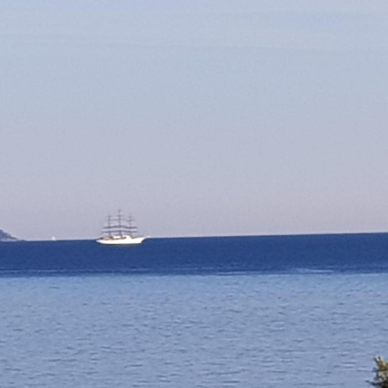 VIEILLE VILLE D AJACCIO de 1 a 4 PERs A 300M DU PORT ET A 15 MN DE LAEROPORT PROCHES DE PLUS BELLES PLAGES ET TTES COMMODITES A PROXIMITE - Appartement 1 Chambre - 3
