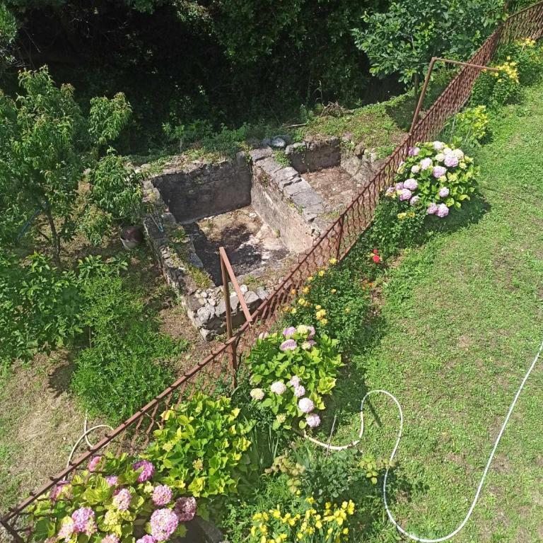 Apartmani Vučević - Apartman sa 1 Spavaćom Sobom - 18