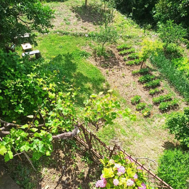 Apartmani Vučević - Apartman sa 1 Spavaćom Sobom - 16