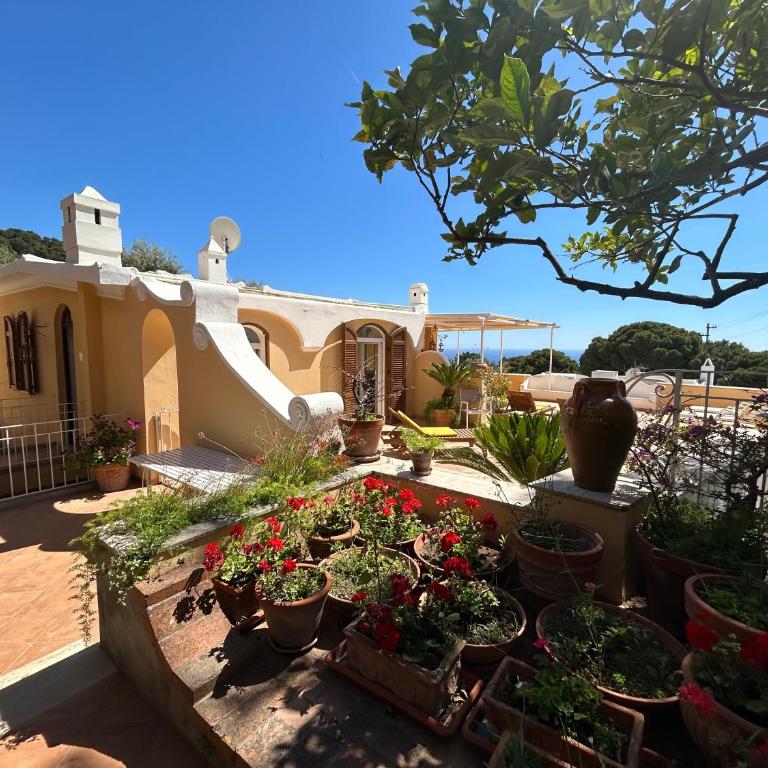 Private Villa Sea VIEW CON TERRAZZA E GIARDINO - Appartamento con 3 Camere da Letto - 25