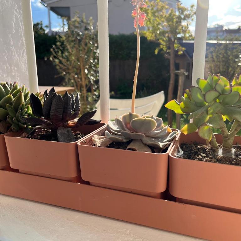 Appartement deux pièces donnant sur un jardin - Apartamento de 1 dormitorio - 3