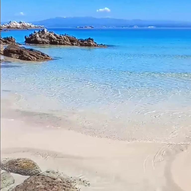 Mono Il Porto Gallura - Apartment - Ground Floor - 11