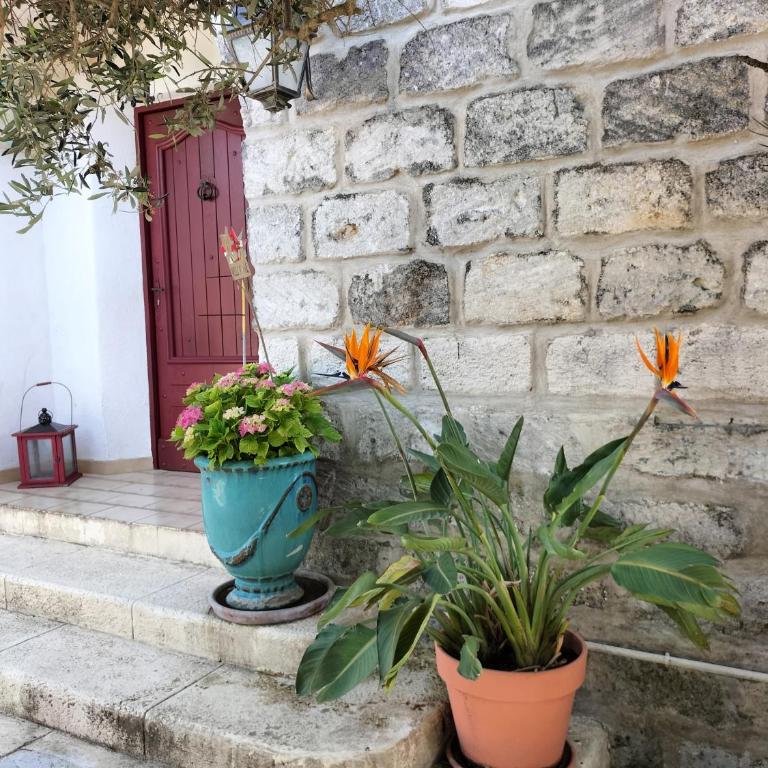 Charmant appart avec jardin - Maison 1 Chambre - 14