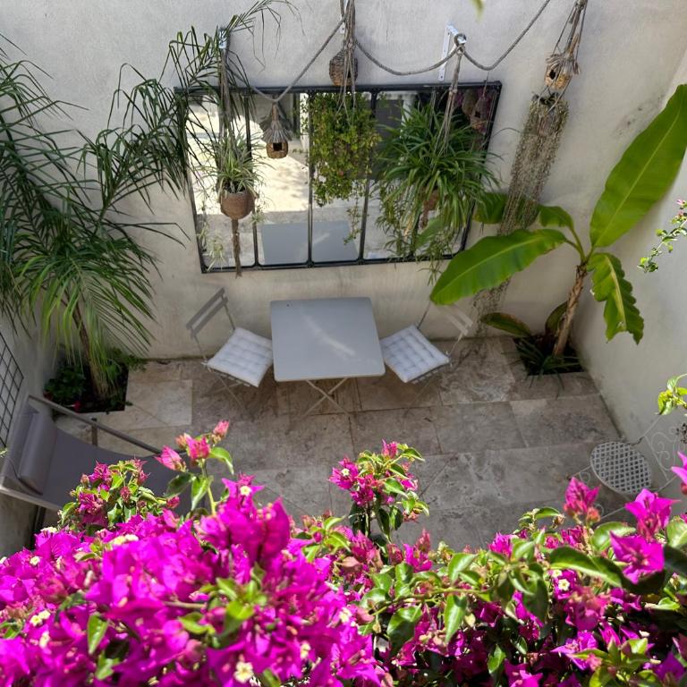 Appartements 3 étoiles terrasse ou patio intra-muros - Apartamento - Planta baja - 14
