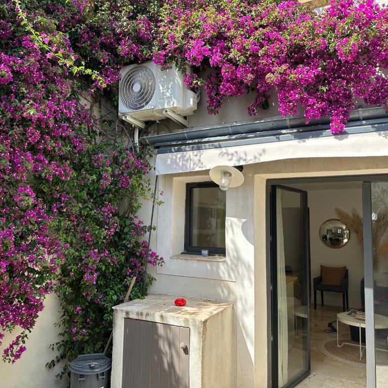Appartements 3 étoiles terrasse ou patio intra-muros - Apartamento - Planta baja - 19