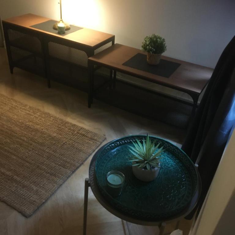 Appartement paris Tour Eiffel - Appartement 1 Chambre - 30