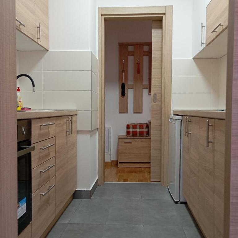 Antique Danube apartment - Apartman sa 1 Spavaćom Sobom - 4