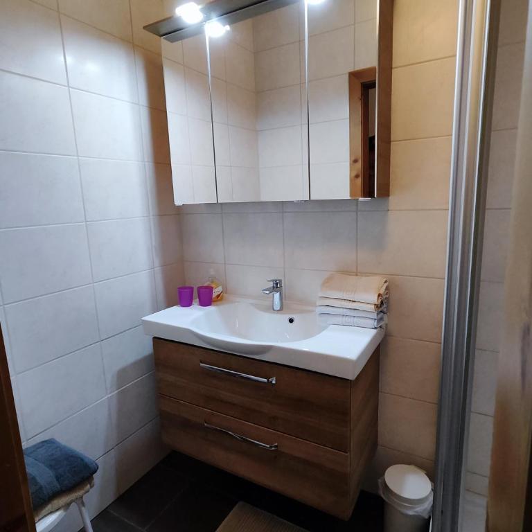 Apartments Bader Leutasch Tirol - Studio mit Terrasse - 5