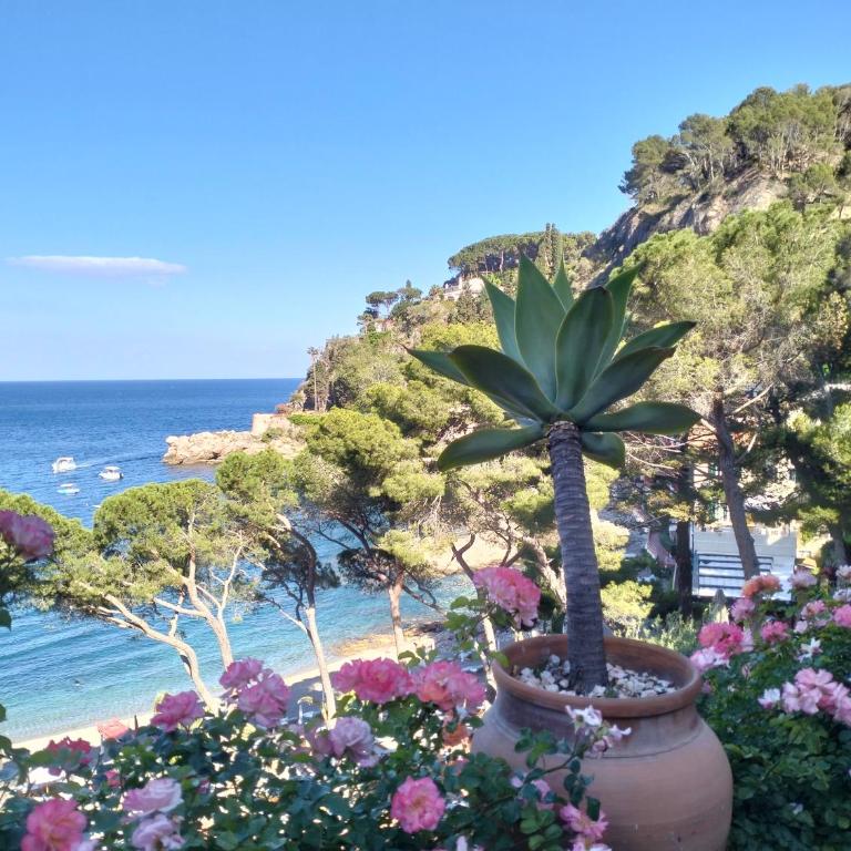 Casa Basilico' Taormina - Appartamento su 2 Livelli - 20