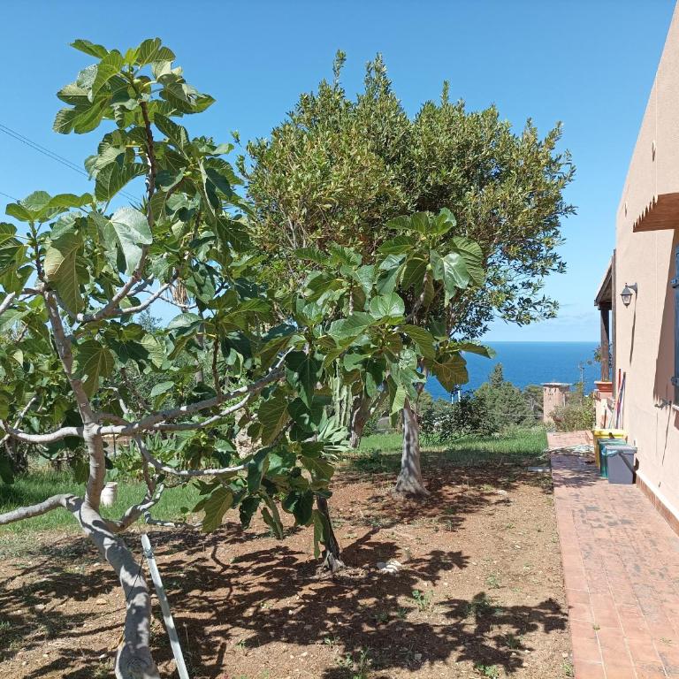 La Terrazza su Pispisa - Two-Bedroom Villa - 12