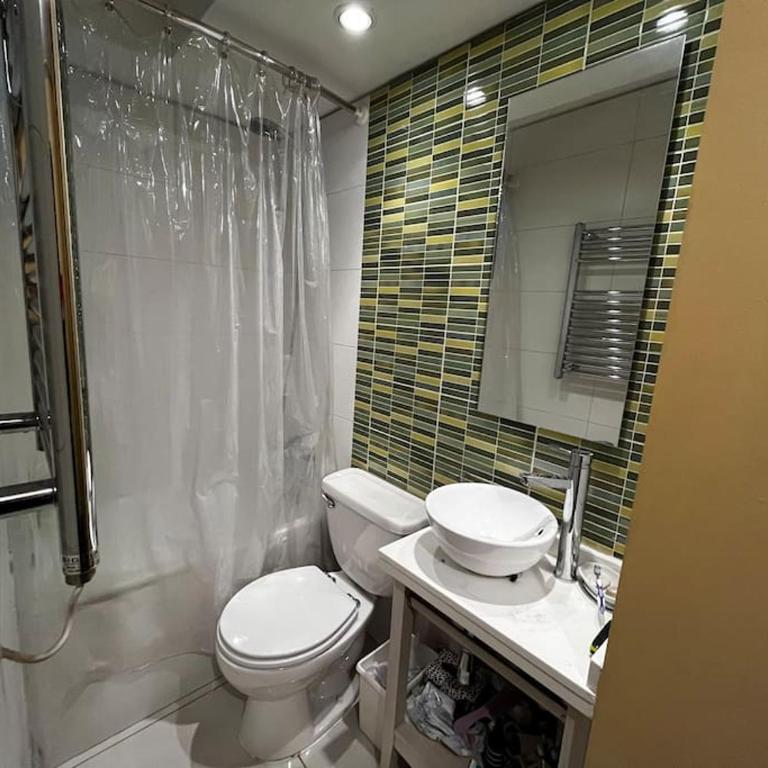 Se arrienda amplio departamento en Providencia - Apartamento de 3 dormitorios - 9