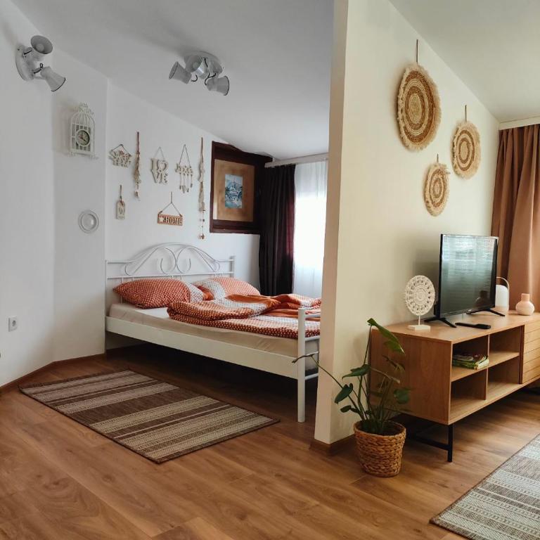 Apartments Magaza - Apartman - 6