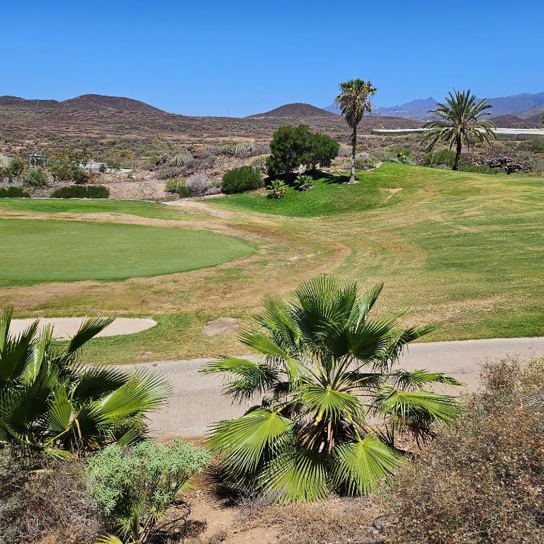 Ocean View Sunny Suite - Pool & Parking - Golf de Sur - Apartamento de 1 dormitorio - 37