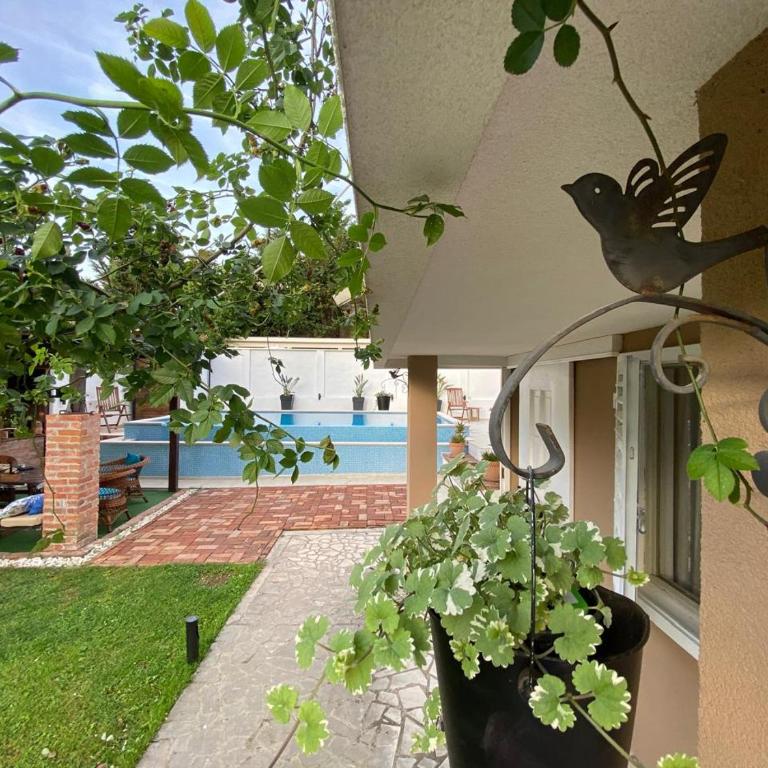 Villa Nikola - Villa - 12