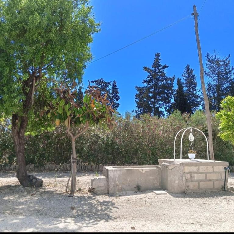 GELSOMINO SIRACUSA - Appartamento con 2 Camere da Letto - 9