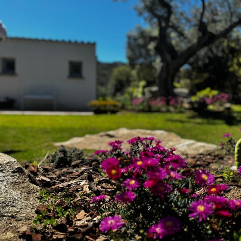 Autentico stazzo gallurese - Porto Rotondo - Casa con 2 Camere da Letto - 6