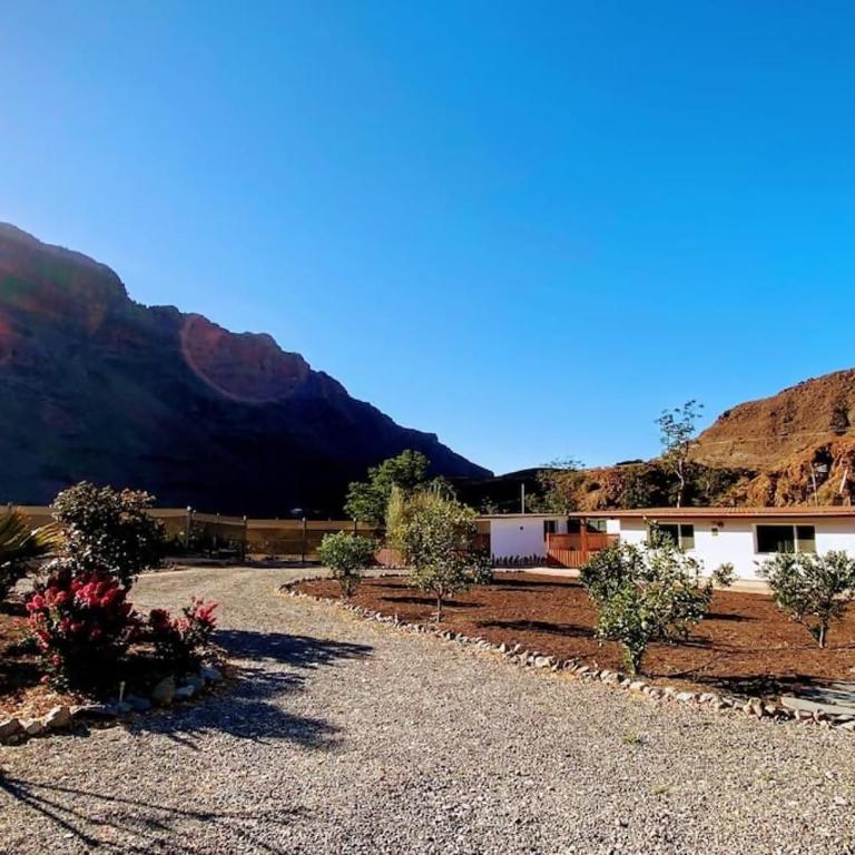 Country House Near Fataga & Maspalomas - Apartamento de 2 dormitorios - 33