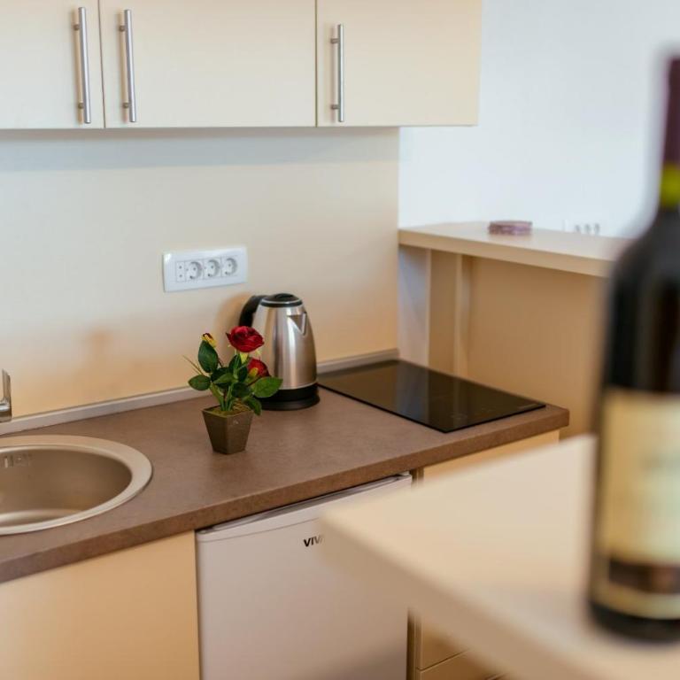 Silver Pine Apartments Kolasin - Apartman sa 2 Spavaće Sobe - 3