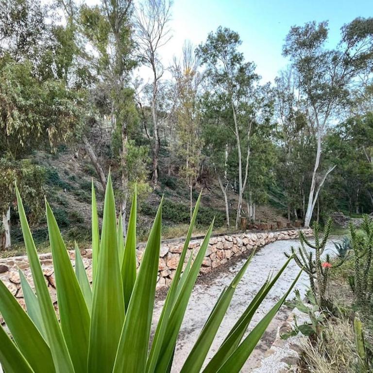 Apartamento Amar-Cura - Apartamento de 2 dormitorios - 27
