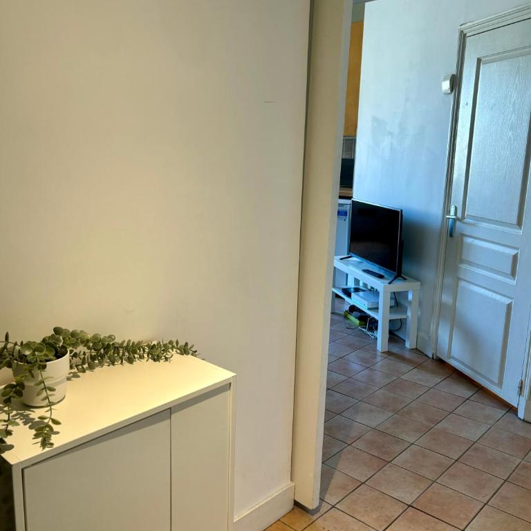 Appartement dans l'Hyper-centre - Apartment mit 1 Schlafzimmer - 4