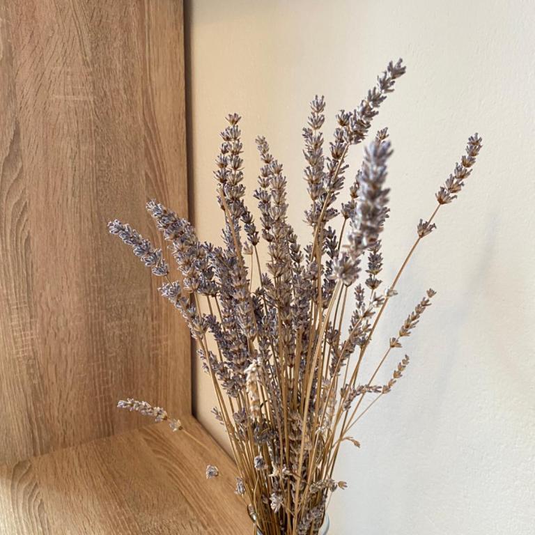 Apartments Bauo - Apartman sa 2 Spavaće Sobe - 6