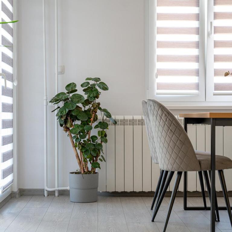 Bole's Crib - Apartman sa 2 Spavaće Sobe - 2